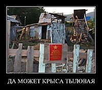 ДА МОЖЕТ КРЫСА ТЫЛОВАЯ 