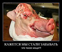 КАЖЕТСЯ МЫ СТАЛИ ЗАБЫВАТЬ что такое мощи!!!