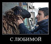 С ЛЮБИМОЙ 