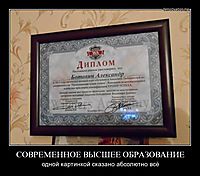 СОВРЕМЕННОЕ ВЫСШЕЕ ОБРАЗОВАНИЕ одной картинкой сказано абсолютно всё
