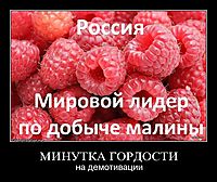 МИНУТКА ГОРДОСТИ на демотивации