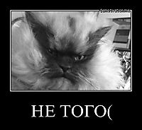 НЕ ТОГО( 