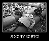 Я ХОЧУ ЗОЁТО! 