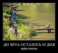 ДО ЛЕТА ОСТАЛОСЬ 93 ДНЯ ждём посоны
