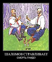 ШАЛОМОВ СТРАВЛИВАЕТ СМЕРТЬ ГНИДЕ!