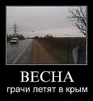 ВЕСНА грачи летят в крым