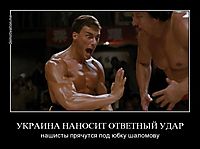УКРАИНА НАНОСИТ ОТВЕТНЫЙ УДАР нашисты прячутся под юбку шаломову