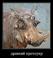древний протоукр 