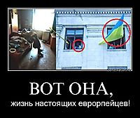 ВОТ ОНА,