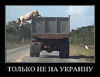 ТОЛЬКО НЕ НА УКРАИНУ 