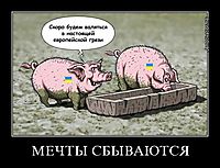 МЕЧТЫ СБЫВАЮТСЯ 