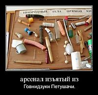 арсенал изъятый из Говнидзуки Петушачи.