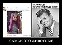 САМКИ ЭТО ЖИВОТНЫЕ 