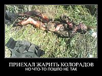 ПРИЕХАЛ ЖАРИТЬ КОЛОРАДОВ НО ЧТО-ТО ПОШЛО НЕ ТАК