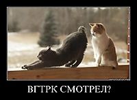 ВГТРК СМОТРЕЛ? 