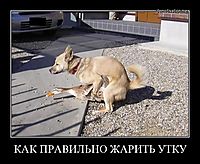 КАК ПРАВИЛЬНО ЖАРИТЬ УТКУ 