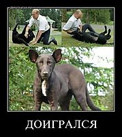 ДОИГРАЛСЯ 