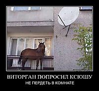 ВИТОРГАН ПОПРОСИЛ КСЮШУ НЕ ПЕРДЕТЬ В КОМНАТЕ