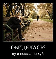 ОБИДЕЛАСЬ? ну и пошла на хуй!