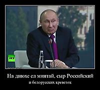 На днюхе ел минтай, сыр Российский и белорусских креветок