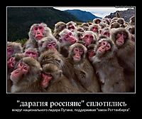 "дарагия россияне" сплотились вокруг национального лидера Путина, поддерживая "закон Роттенберга".