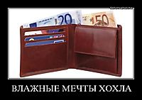 ВЛАЖНЫЕ МЕЧТЫ ХОХЛА 