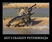 КОТЭ ЕБАШИТ РЕПТИЛОИДА 