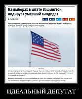 ИДЕАЛЬНЫЙ ДЕПУТАТ