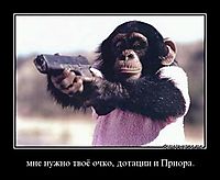 мне нужно твоё очко, дотации и Приора. 