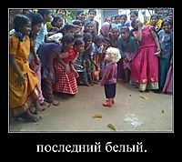 последний белый. 