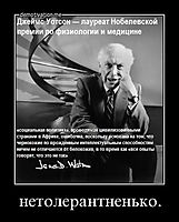нетолерантненько. 