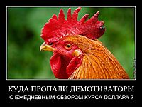 КУДА ПРОПАЛИ ДЕМОТИВАТОРЫ С ЕЖЕДНЕВНЫМ ОБЗОРОМ КУРСА ДОЛЛАРА ?