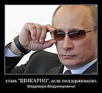 ставь "ШИКАРНО", если поддерживаешь Владимира Владимировича!