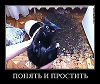 ПОНЯТЬ И ПРОСТИТЬ 