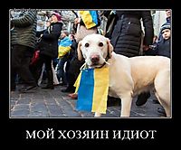 МОЙ ХОЗЯИН ИДИОТ 