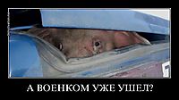 А ВОЕНКОМ УЖЕ УШЕЛ? 