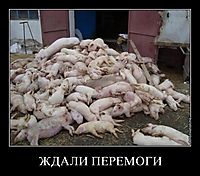 ЖДАЛИ ПЕРЕМОГИ 
