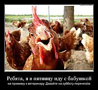 Ребята, я в пятницу иду с бабушкой на прививку к ветеринару. Давайте на субботу перенесём.