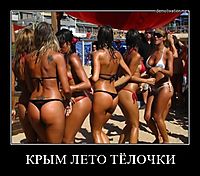 КРЫМ ЛЕТО ТЁЛОЧКИ 