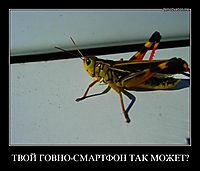 ТВОЙ ГОВНО-СМАРТФОН ТАК МОЖЕТ? 