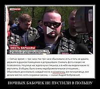 НОЧНЫХ БАБОЧЕК НЕ ПУСТИЛИ В ПОЛЬШУ 