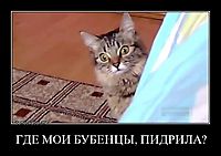ГДЕ МОИ БУБЕНЦЫ, ПИДРИЛА? 