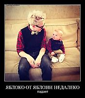 ЯБЛОКО ОТ ЯБЛОНИ НЕДАЛЕКО падает
