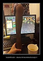НАХУЙ БАБУ - ЭЛЬФА ПРОКАЧИВАТЬ НАДО!!! 