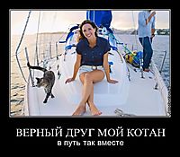 ВЕРНЫЙ ДРУГ МОЙ КОТАН в путь так вместе