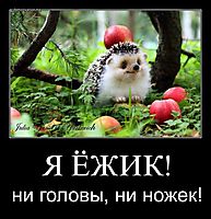 Я ЁЖИК! ни головы, ни ножек!