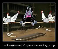 на Савушкина, 55 пришёл новый куратор 