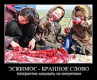 ЭСКИМОС - БРАННОЕ СЛОВО толерантно называть их иннуитами