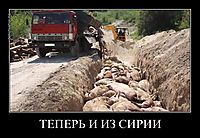ТЕПЕРЬ И ИЗ СИРИИ 