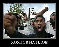 ХОХЛОВ НА ПЛОВ! 